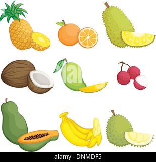 Un vecteur illustration de fruits tropicaux icons Illustration de Vecteur