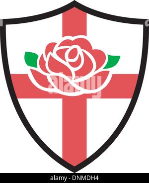 Illustration d'une rose anglaise rouge avec le drapeau de l'Angleterre à l'intérieur de shield Illustration de Vecteur