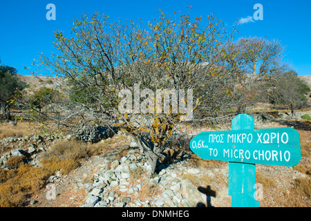 Haïti, île de Tilos, Bucht von Livadia, Wanderweg nach Micro Chorio Banque D'Images