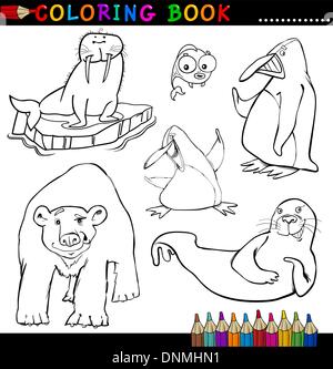 Livre de coloriage ou une page de bande dessinée de vulgarisation d'animaux Marin et polaire pour les enfants Illustration de Vecteur