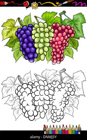 Livre de coloriage ou une page de bande dessinée de vulgarisation de trois grappes de blanc et rouge et noir ou bleu raisin ou Grapevine Fruits Aliments Gr Illustration de Vecteur