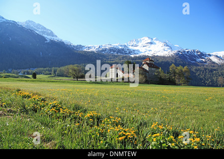 La Suisse, Canton des Grisons, Ober-Engadin, Surlej Banque D'Images