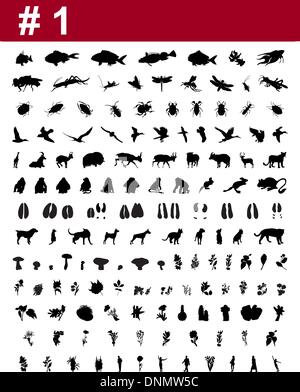 Grande collection de silhouettes vecteur collage de personnes, d'animaux, oiseaux, poissons, insectes et fleurs Illustration de Vecteur