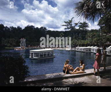 Silver Springs à Ocala, en Floride, capturée dans les années 1950, montre des excursions en bateau, des bateaux à fond de verre, et la beauté naturelle des sources, attirant les touristes dans le comté de Marion. Banque D'Images