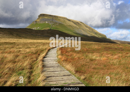 Le sommet de distinctif le Pen-y-ghent, l'un des trois pics Yorkshire montagnes dans le Yorkshire Dales National Park, England Banque D'Images