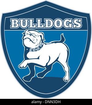 Illustration d'un fier bulldog Anglais marcher avec les mots des bulldogs en arrière-plan défini à l'intérieur d'un bouclier qui convient à tout type de mascotte de l'équipe sports' Illustration de Vecteur