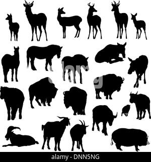 Ensemble de cerfs, chevaux, chèvres, yaks, buffles et cochon de silhouettes. Vector illustration. Illustration de Vecteur