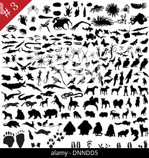 #  3 ensemble de différents animaux, oiseaux, insectes et poissons vector silhouettes Illustration de Vecteur