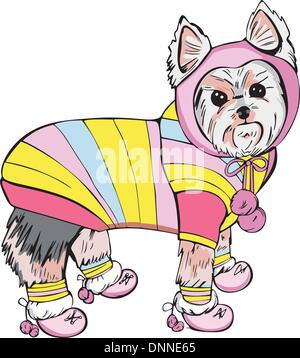 L'illustration EPS vectoriel de nice habillé chien (yorkshire terrier) pour une promenade. Illustration de Vecteur