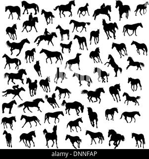 Big vector collection de différents chevaux silhouettes Illustration de Vecteur
