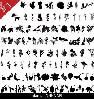 Vector collection de plantes et fleurs différentes silhouettes # 1 Illustration de Vecteur