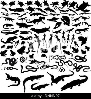 Grande collection de reptiles vector isolated on white Illustration de Vecteur