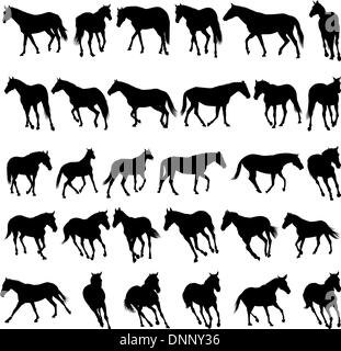 Big vector collection de différents chevaux silhouettes Illustration de Vecteur
