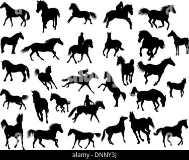 Big vector collection de différents chevaux silhouettes Illustration de Vecteur