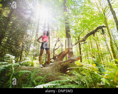 USA (Oregon, Portland, young woman standing on log in forest Banque D'Images