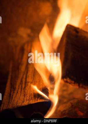 Cheminée poêle multi combustible Banque D'Images