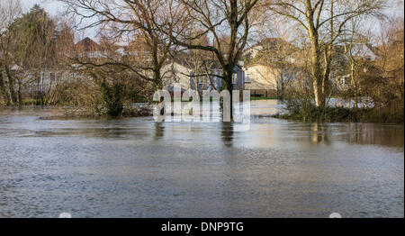 L'augmentation des niveaux d'inondation de la rivière Stour près de Pont d'Iford Home Park, Christchurch, Dorset, England, UK. Banque D'Images