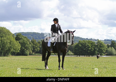 Le cheval et le cavalier au travail avant un concours de dressage Banque D'Images