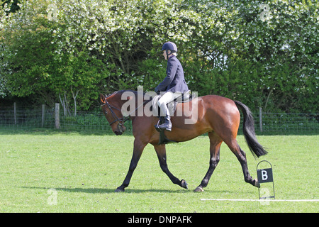 Le cheval et le cavalier au travail avant un concours de dressage Banque D'Images