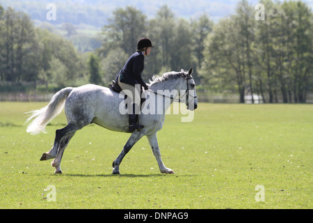 Le cheval et le cavalier au travail avant un concours de dressage, avec un lac à l'arrière-plan Banque D'Images