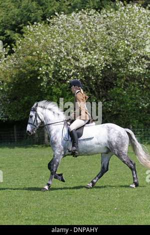 Le cheval et le cavalier au travail avant un concours de dressage Banque D'Images