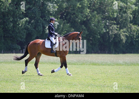 Le cheval et le cavalier au travail avant un concours de dressage Banque D'Images