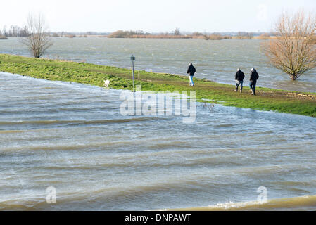 Cambridgeshire, Royaume-Uni. 06Th Jan, 2014. On marche sur une étroite banque à l'Ouse se lave à Sutton Gault sont inondées comme une combinaison de forte pluie et les hautes marées causer des inondations à travers le pays. Les terres agricoles entre deux rivières par l'homme, les anciens et les nouveaux niveaux d'exécution de Earith Bedford dans le Cambridgeshire à Denver en Norfolk, est conçu pour absorber les eaux de crue de la rivière Great Ouse afin de conserver la plus grande partie de l'East Anglia sèche. Les niveaux d'eau sont élevés et plus la pluie et le vent est à prévoir au cours des prochains jours. Credit : Julian Eales/Alamy Live News Banque D'Images