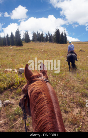 Aux Etats-Unis, l'ouest du Colorado, Woman riding horse Banque D'Images