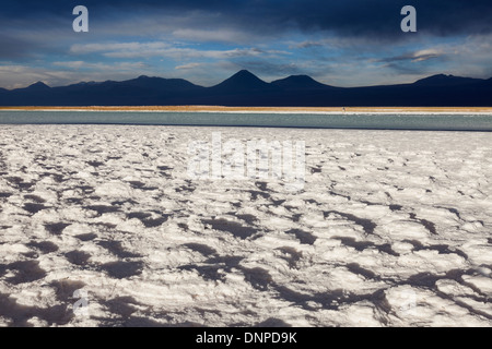 Région d'Antofagasta, Chili, Désert d'Atacama, Laguna Tebinquiche à vue Banque D'Images