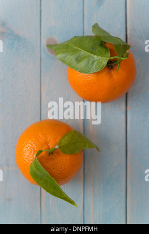 Clémentine orange sur un fond bleu Banque D'Images