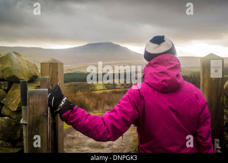 Vue arrière marchette femelle dans la passerelle en bois regardant vers Ingleborough à distance. Yorkshire Dale Banque D'Images