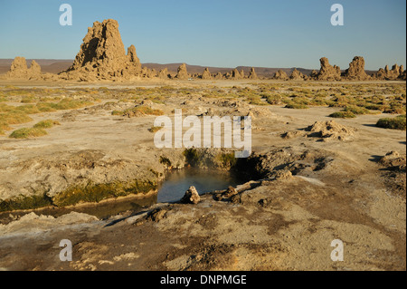 Cheminées en pierre calcaire et flaque d'eau dans le lac Abbe à Djibouti, corne de l'Afrique Banque D'Images