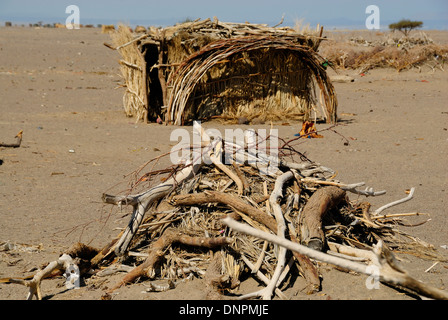 Loin hut et un tas de bois dans le désert du sud de Djibouti, Corne de l'Afrique Banque D'Images