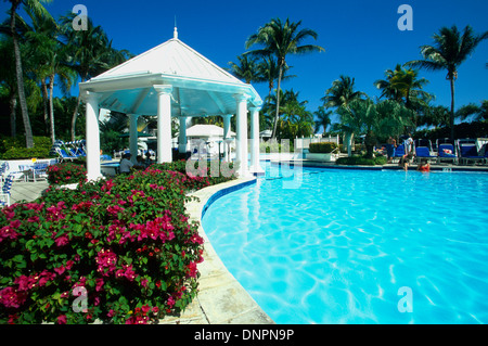 Piscine au Hyatt Regency Grand Cayman, Seven Mile Beach, Grand Cayman, BWI Banque D'Images