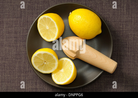 Vue aérienne de citrons dans un bol avec l'alésoir, Studio Shot Banque D'Images