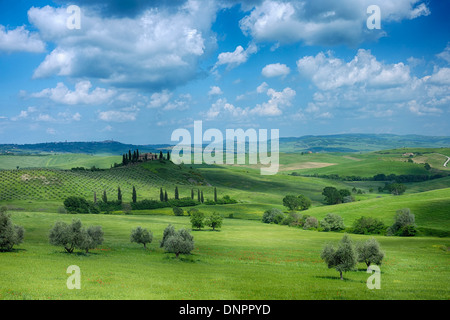 Green paysage vallonné avec des nuages. La province de Sienne, Pienza, Val d'Orcia, Toscane, Italie, région méditerranéenne. Banque D'Images