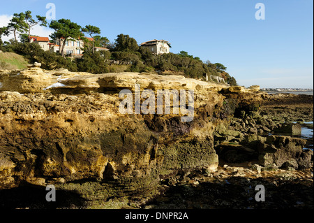 Les maisons construites le long de la partie rocheuse de la côte de l'embouchure de l'estuaire de la Gironde en Charente-Maritime, France Banque D'Images