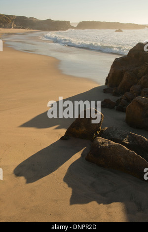 Plage côtière, Pescadero State Beach, Californie Banque D'Images