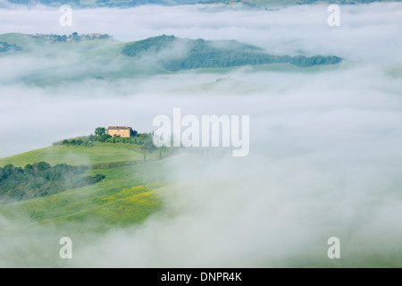 Paysage typique de la Toscane avec ferme en matin de brouillard près de Pienza. Pienza, Sienne, Toscane, Toscana, Italie. Banque D'Images