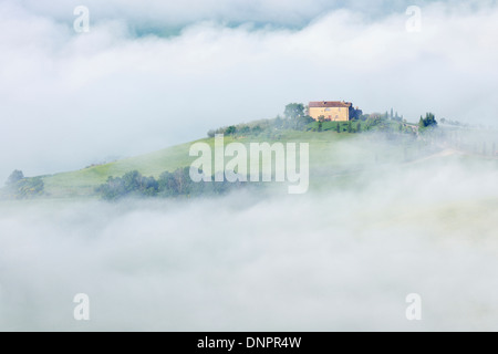 Paysage typique de la Toscane avec ferme en matin de brouillard près de Pienza. Pienza, Sienne, Toscane, Toscana, Italie. Banque D'Images