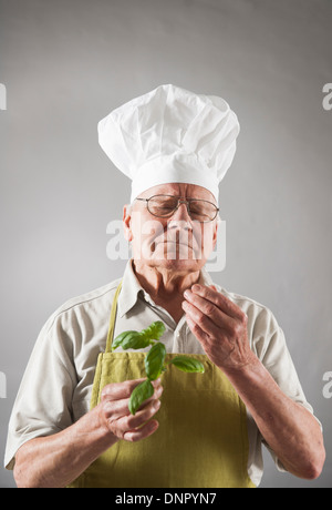 Un homme âgé portant chapeau de chef holding Basil Banque D'Images