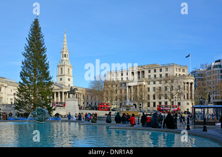 Arbre de Noël à Trafalgar Square avec maison de l'Afrique du Sud et de l'église et clocher de St Martin des Champs dans le ciel bleu day London England UK Banque D'Images
