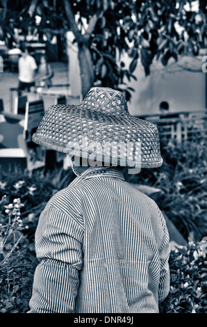 Jardin ouvrier, Kowloon, Hong Kong, Asie Banque D'Images