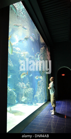 L'homme près de l'aquarium avec des poissons exotiques dans le célèbre Musée Océanographique de Monaco Banque D'Images