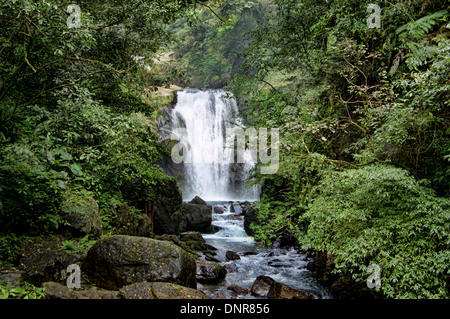 Cascade dans la vallée de Wulai, Taiwan Banque D'Images