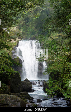 Cascade dans la vallée de Wulai, Taiwan Banque D'Images