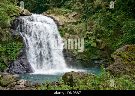 Cascade dans la vallée de Wulai, Taiwan Banque D'Images