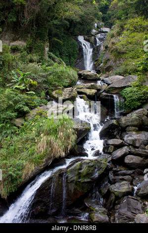 Ruisseau coule à travers les roches dans Vallée de Wulai, Taiwan Banque D'Images