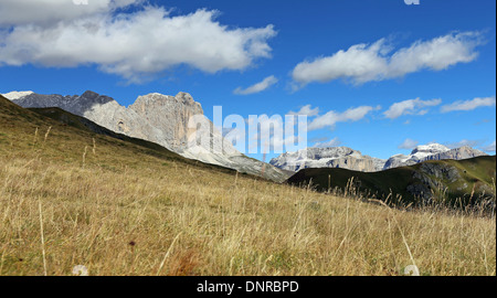 Prairie de montagne dans le groupe de Catinaccio. Vue sur les sommets de Sassolungo, Sassopiatto, Sella montagnes. Les Dolomites. Alpes italiennes. Europe. Banque D'Images