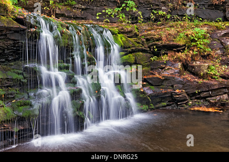 La beauté d'automne de Seneca Falls, en Pennsylvanie, Ricketts Glen State Park. Banque D'Images